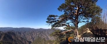 금강소나무숲길, 힐링 여행으로 딱!