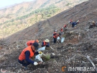 북구청, 죽장면 가사리 일원 편백나무 위주 조림사업 추진