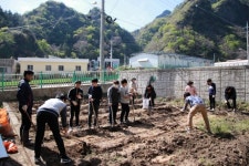울릉서중학교, 텃밭 가꾸며 인성도 ‘쑥쑥’