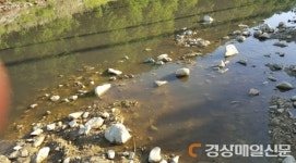 해도 해도 너무한 豚舍…철거 목소리