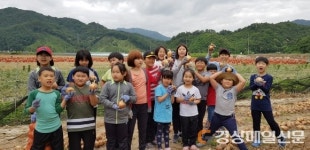 김천구성초, 양파 농장 봉사활동