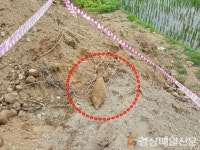 포항서 포탄 발견…한국전쟁 불발탄?