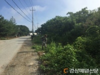 상주 공검면, 주요 도로변 제초작업 전개