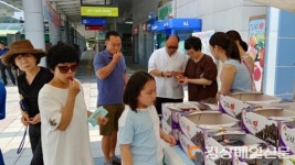 김천휴게소서 ‘포도ㆍ자두’ 홍보ㆍ판촉행사