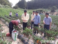 상주 부시장, 폭염 피해 농가ㆍ경로당 애로 청취