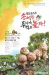 울진 금강송 송이의 유혹...푸지게 먹고 푸지게 놀자