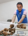 <포토>송이향에 취하고 맛에 반하고