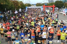 8천여명 금호강변 따라 ‘힐링 레이스’