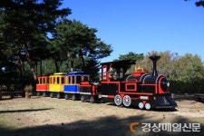 울진 “솔바람 기차타고 가을내음 맡아 보세요”