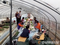 성주읍행정복지센터, 인구 늘리기 홍보