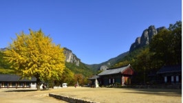 주왕산 산자락에  마음을 풀어 놓다