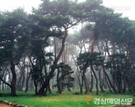 <시인의 시선>유배 길에서 만난 명품시조