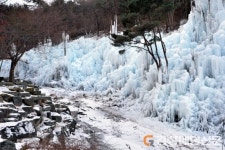 비슬산자연휴양림 ‘겨울왕국’ 대변신 