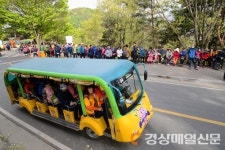비슬산자연휴양림, 해맞이 전기차 조기 운행