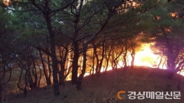 영덕서 되살아난 산불 4시간 만에 진화