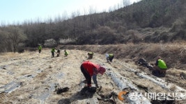 울진, 바쁜 농사철 일손 문제 해결