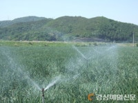 달성, 고품질 원예작물 생산 기술보급사업 추진