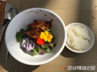 ‘특수기능성 희귀채소 성지’ 봉화군 물야면 북지리 해오름 농장