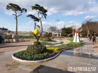 달성군, 사문진주막촌에 봄꽃 구경 오이소~