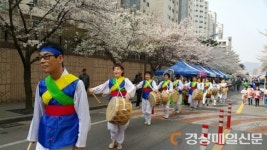 대구 서구 평리2동, 한울타리 벚꽃 축제 