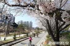<포토> 봄 햇살 품은 ‘포항 철길숲’