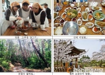 봄꽃 + 농촌여행지 =‘경주 하범곡 마을’
