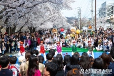 안동벚꽃축제, 상춘객에 ‘봄다운 봄’ 선물