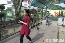 시민 손으로 만드는 ‘장미도시 포항’