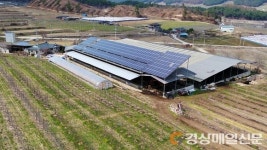 봉화, 참여형 태양광 발전사업…군민 소득 창출 나선다