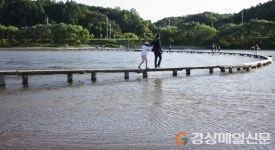 경북으로 취향따라 떠나는 특별한 보통날