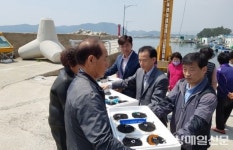포항, 어린 해삼 5만 마리, 청하 방어리에 방류 