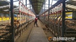 “한우 헬퍼에 맡기고 삶의 여유 찾으세요”