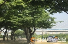 대구 동구보건소, 특별방역소독 전개