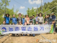 봉화 봉성면, 과수원 사과 적과 일손돕기활동 ‘구슬땀’