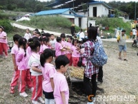 안동, 도산면 밀사리 체험행사 