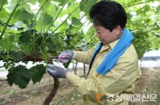 이병환 군수, 농가 일손돕기 솔선수범