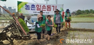 달성군 구지면새마을지도자, 농촌일손돕기