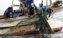 경북, 대게어장 환경정비…자원회복 나섰다