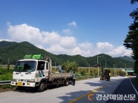 울진 연호~남부 교차로 가로수 이사 간다