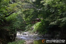 <기획> 포항의 선비문화를 찾아서