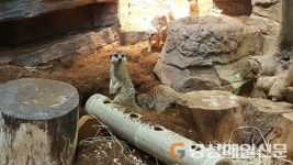 동물복지 전념하는 애니멀 테마파크 주렁주렁!