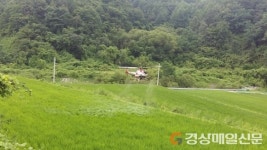 울진, 1천833㏊ 무인헬기 공동방제 가동