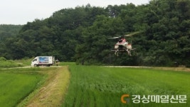 울진, 1천833㏊ 무인헬기 공동방제 가동
