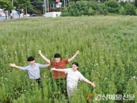 대구달성군, 논공삼거리로 꽃구경 오이소