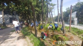 경북생명의숲, 솔숲이야기 진행