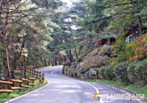 활력 충전소 ‘성주봉자연휴양림’ 인기 