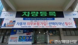포항, 자동차 의무보험 미가입 운행사건 특별정리