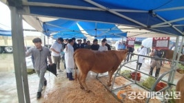 예천 한우산업 이끌 청년농업인 역량 강화