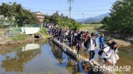 모계중학교, 청도 대장정 진행
