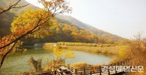  ‘국립칠곡숲체원’…답답한 빌딩 숲 벗어나 자연과 마주하다